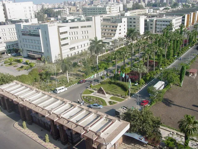 Mansoura University — Institution photograph