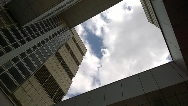 Shiraz University — Institution photograph