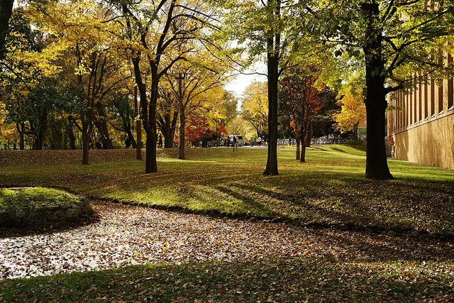 Hokkaido University — Institution photograph