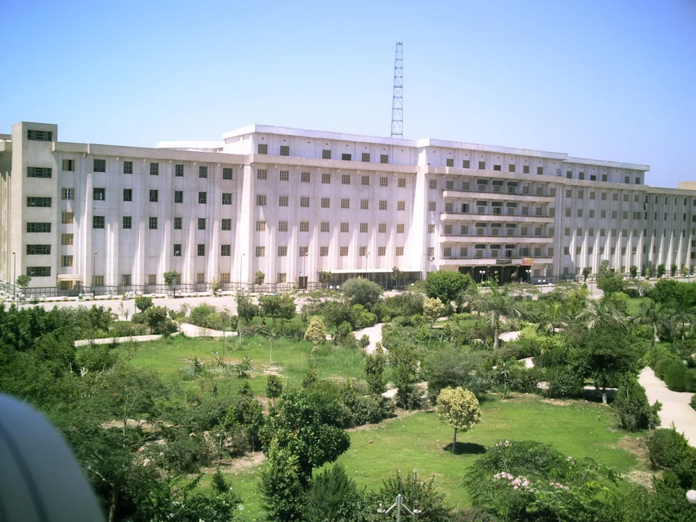 Beni-Suef University — Institution photograph