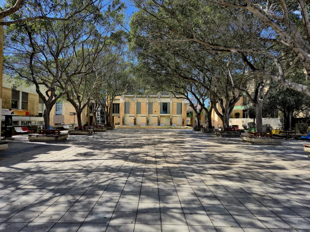 University of Malta — Institution photograph