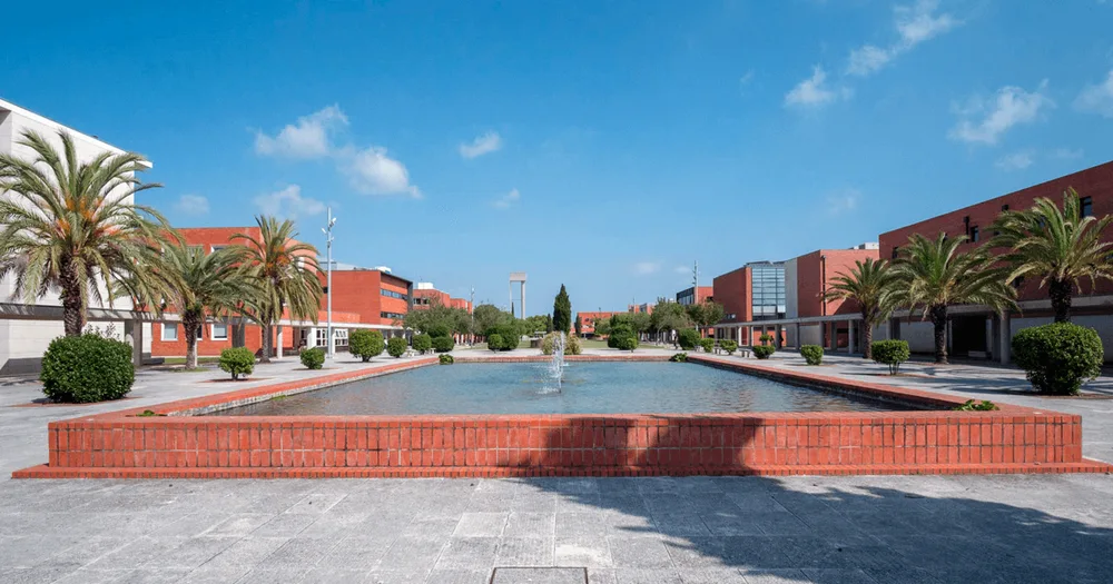 University of Aveiro — Institution photograph