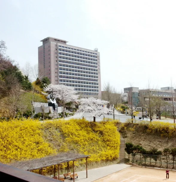 Kookmin University — Institution photograph
