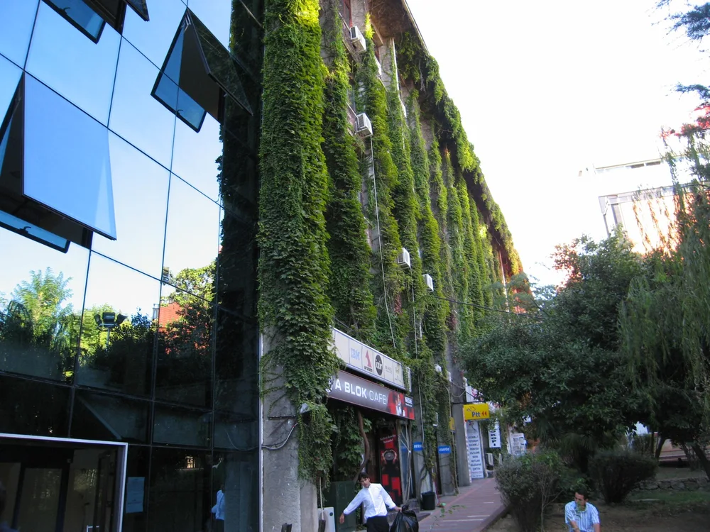 Yildiz Technical University — Institution photograph