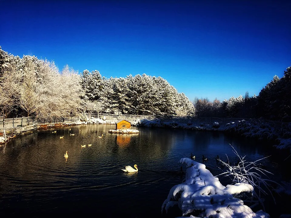 Hacettepe University — Institution photograph