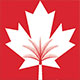 Canadian University Dubai logo